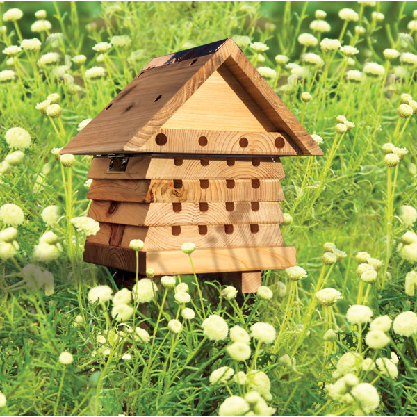 Wildlife World Mason Bee Hive & Reviews Wayfair
